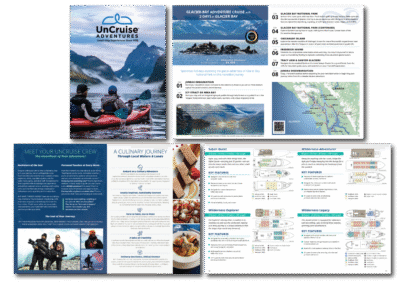 Travel Brochure